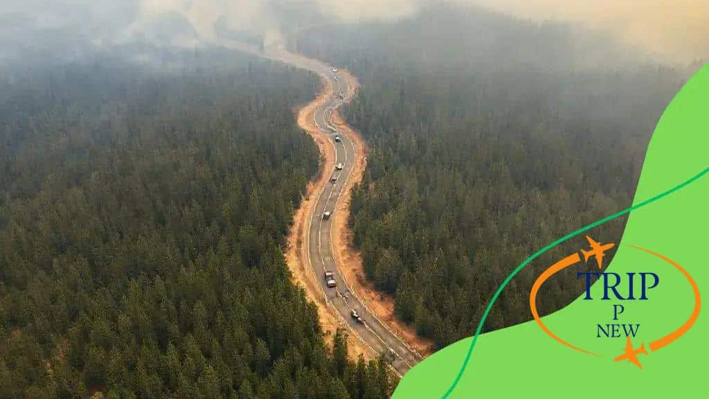 Evacuation routes and safety tips during wildfires